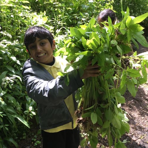 Forest School Y5 & 6 Summer 26